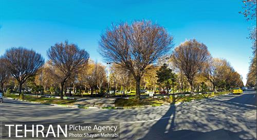 پاییز بلوار کشاورز 1
