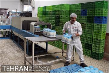 خط تولید شرکت صنایع شیر ایران 7