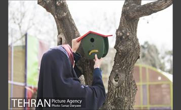 درختکاری و لانه گذاری کبوتر در بوستان بعثت 11