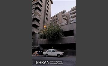 یوسف آباد، بی باغ و بی آسیاب 12