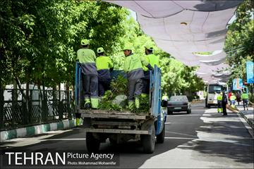 آماده سازی دانشگاه تهران برای نماز جمعه 9