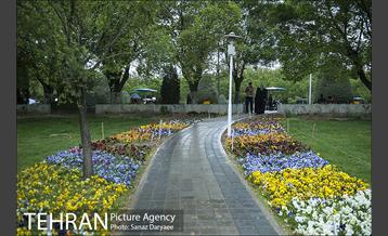 روز طبیعت بارانی در بوستان لاله 23