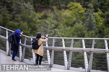 برگزاری اولین تور مسابقه عکس روز تهران به مناسبت روز تهران 20