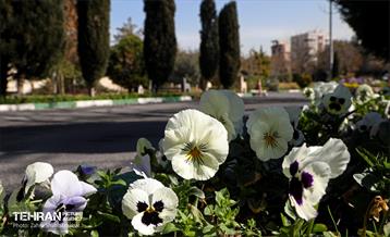 طرح استقبال از بهار 72