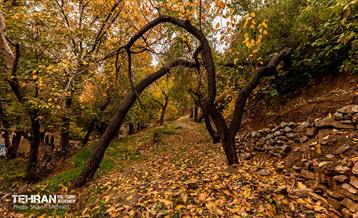 رود دره فرحزاد 48