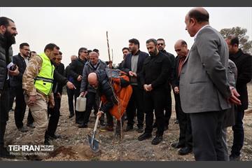 کاشت 2000 نهال مثمر در بوستان جنگلی چیتگر 28