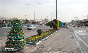 استقبال از بهار - 4 10