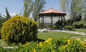 روز طبیعت در منطقه ۵ 38