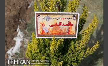 کاشت نهال در بوستان ولایت  40