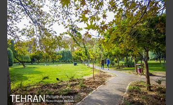 پاییز بوستان لاله 22