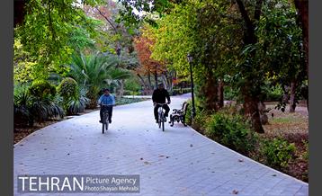 پاییز پارک شهر 4