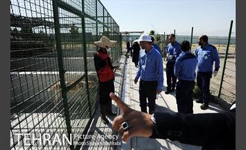 نقاهتگاه سگ های بدون صاحب واقع در آراد کوه 46