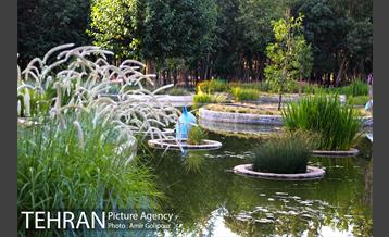 باغ راز هستی 30