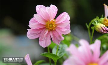 یک روز پاییزی در منطقه 22 16