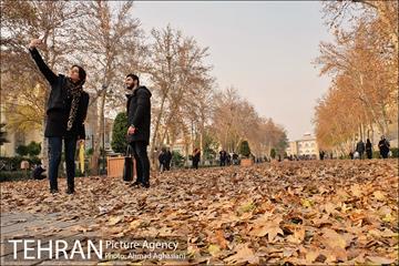 سومین رویداد هنری "پاییز برگ" در میدان مشق 43