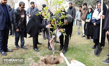 غرس ۱۱۰۰ نهال در منطقه ۱۱ 10
