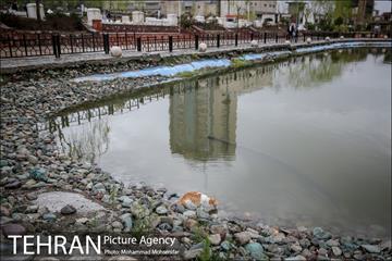 بوستان نوروز 26