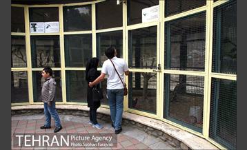 بوستان ساعی 10