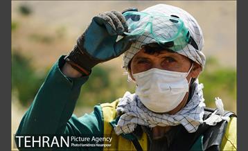 علف زنی بوستانهای تهران برای مقابله با آتش سوزی 15