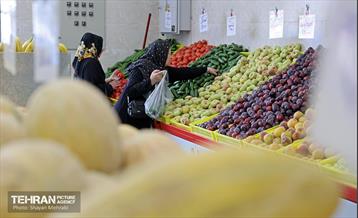بازار میوه و تره‌بار میخک 9