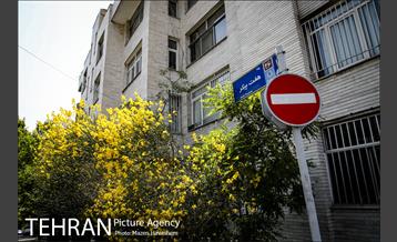 شهرنگار؛ توانیر 3