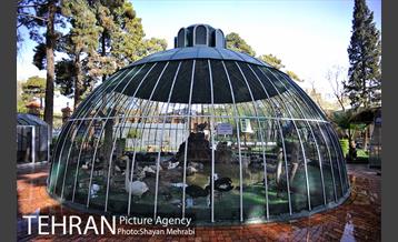 موزه حیات وحش هفت چنار 1