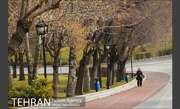 پارک ملت در یک روز زمستانی 25