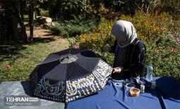 رویداد فرهنگی،هنری «جشن باران» 30