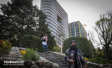 روز طبیعت در پارک ساعی و حاشیه اتوبان مدرس  26