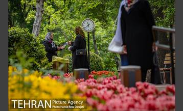 لاله های باغ ایرانی 18