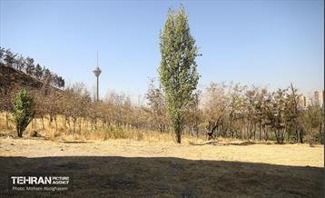 جلسه قرارگاه اجتماعی شهرداری منطقه 3 32