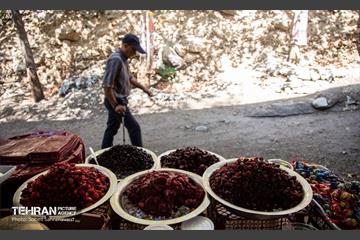 شهرنگار؛ درکه 17
