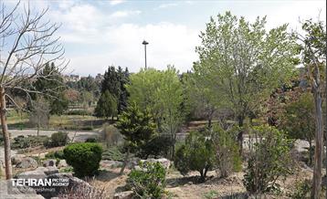 بهار در منطقه 18 35