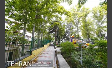 بوستان شطرنج 11