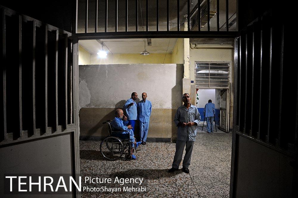 گرمخانه ها 12