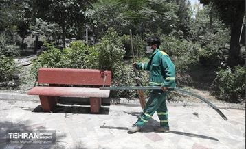 بوستان ایثار در منطقه ۲۰ به چرخه خدمت بازگشت 13