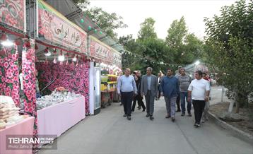 آیین افتتاحیه جشنواره نور و بازی‌های چوبی  18