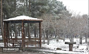 بارش برف زمستانی در بوستان سرخ حصار 17