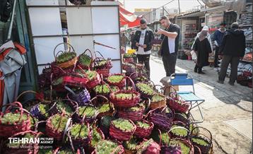 بازار گل شهید محلاتی در آخرین روزهاى سال 17