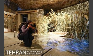 برگزاری اولین تور مسابقه عکس روز تهران به مناسبت روز تهران 9