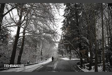 روز برفی تهران - 2 49