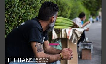 شیر بلال تابستان 18