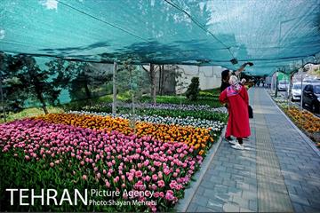 پیاده راه لاله مادران 16