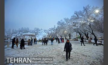 روز برفی در پارک لاله 11