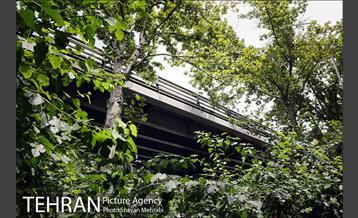 پل‌های تهران؛ پل حافظ 24