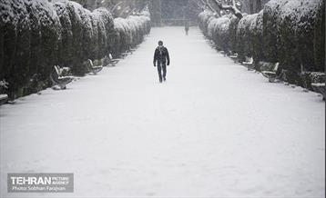 روز برفی تهران 23
