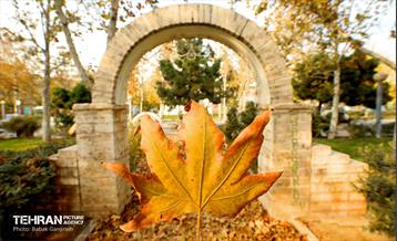 گذرگاه های پاییزی پایتخت - منطقه 13