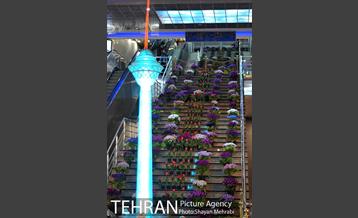 برج میلاد میزبان لاله های بهاری و تخم مرغ های رنگی 36