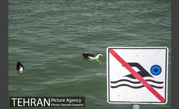 دریاچه شهدای خلیج فارس‎ 26