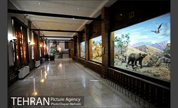 موزه حیات وحش هفت چنار 41